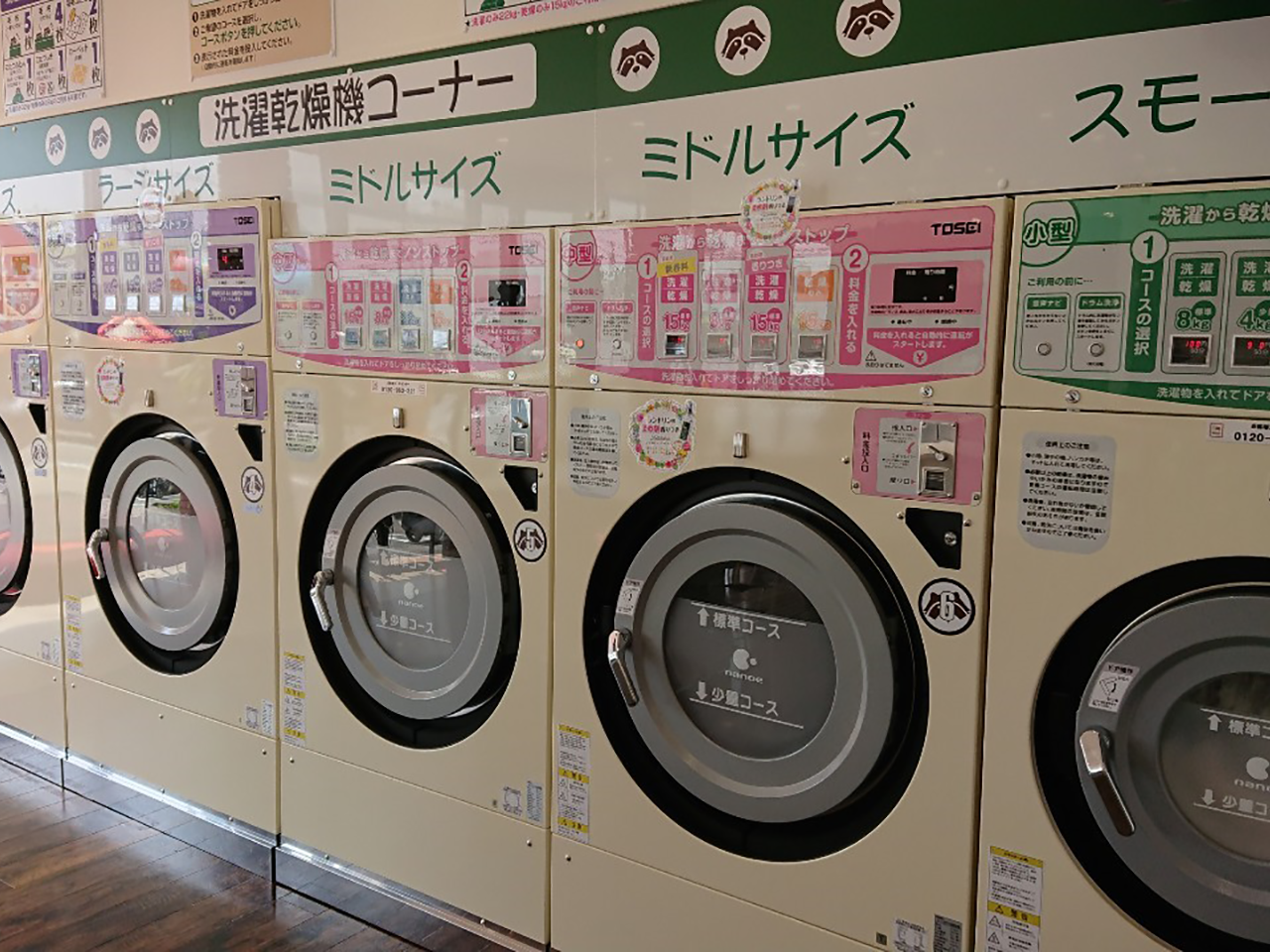 コインランドリーラクーン